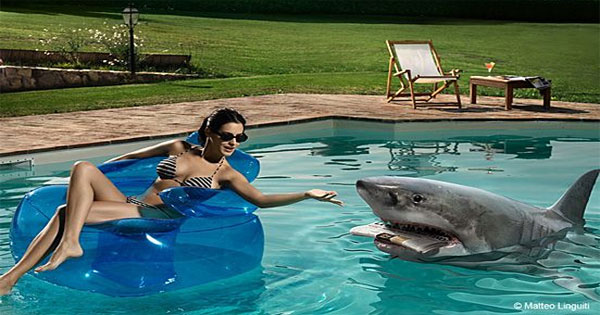 modern-pools-with-shark-robots - image by Matteo Linguiti - click to visit site