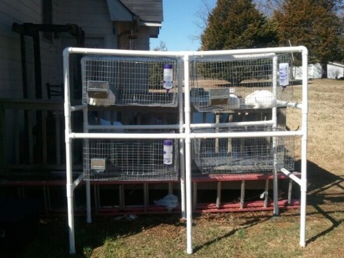 Easy DIY PVC Pipe Rabbit Hutch