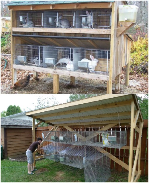 Large DIY Rabbit Hutch