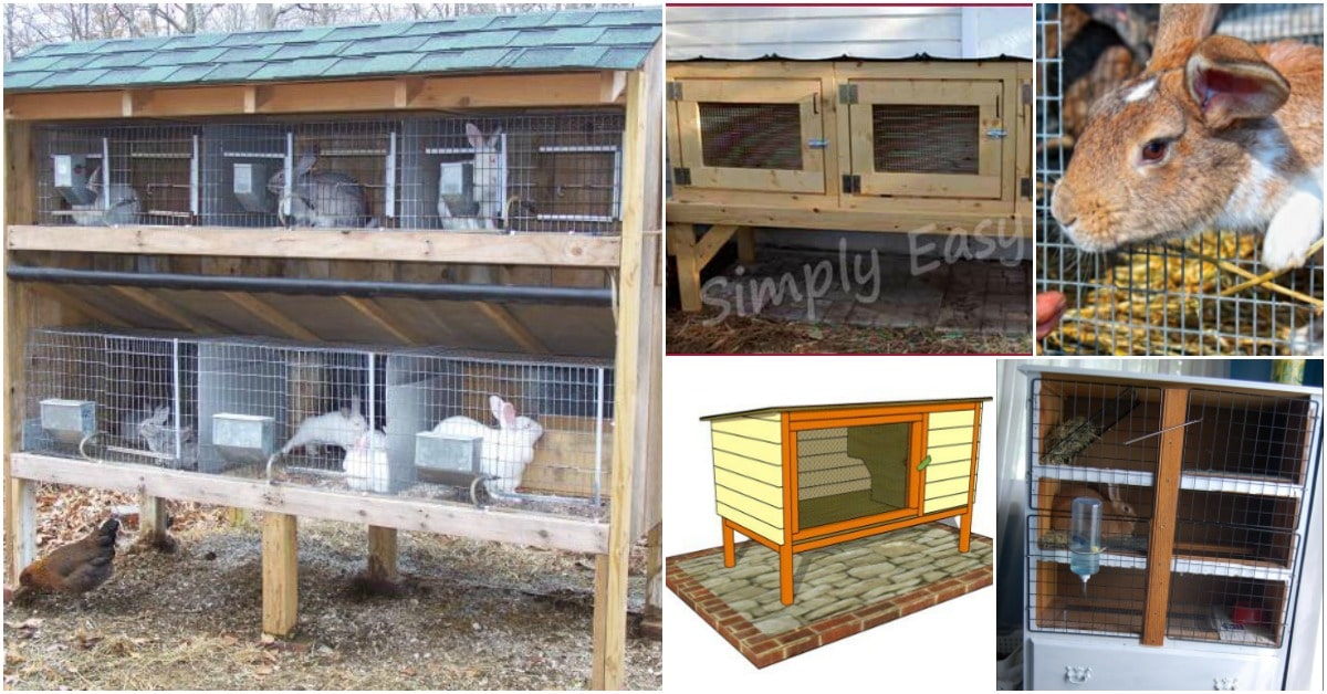 10 Free DIY Rabbit Hutch Plans That Make Raising Bunnies Easy