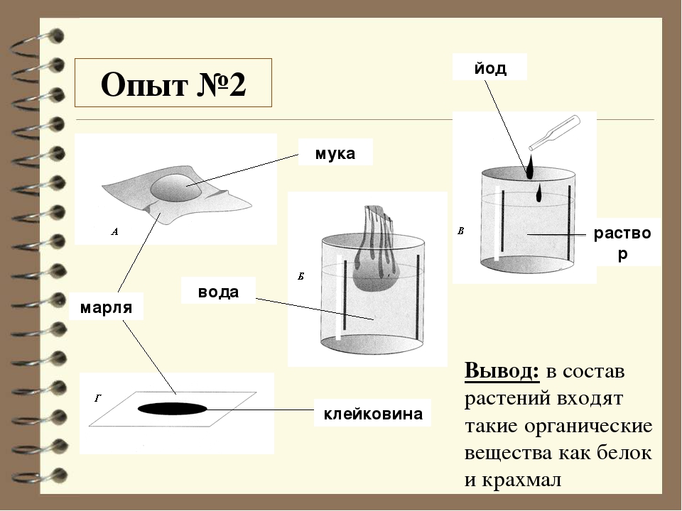 Схема загрузка йодом