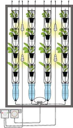 вертикальный сад своими руками