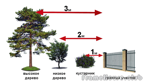 зеленые насаждения участка расстояния 