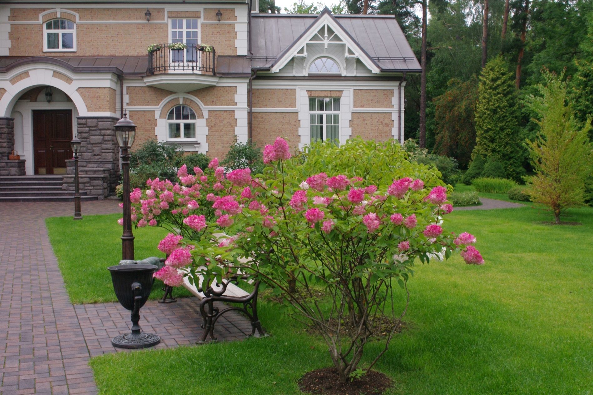 Участок под окном дома. Палисадник Энфилд. Розарий ландшафтный. Особняк fleur de LYS. Английский сад розарий.