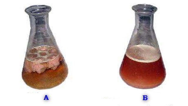 Эксперимент, демонстрирующий эффективность биоактиваторов в благоприятных условиях: "А" - исходное состояние отходов, "Б"- спустя 12 часов после начала деятельности бактерий