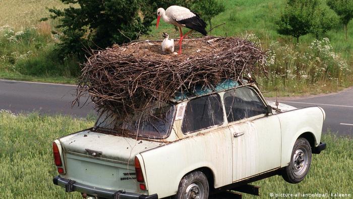 A Trabant car with stork nest on top