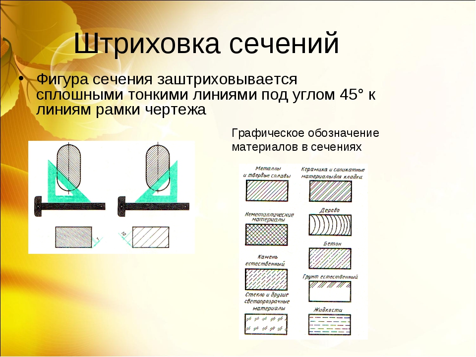 Разрез дерева на чертеже